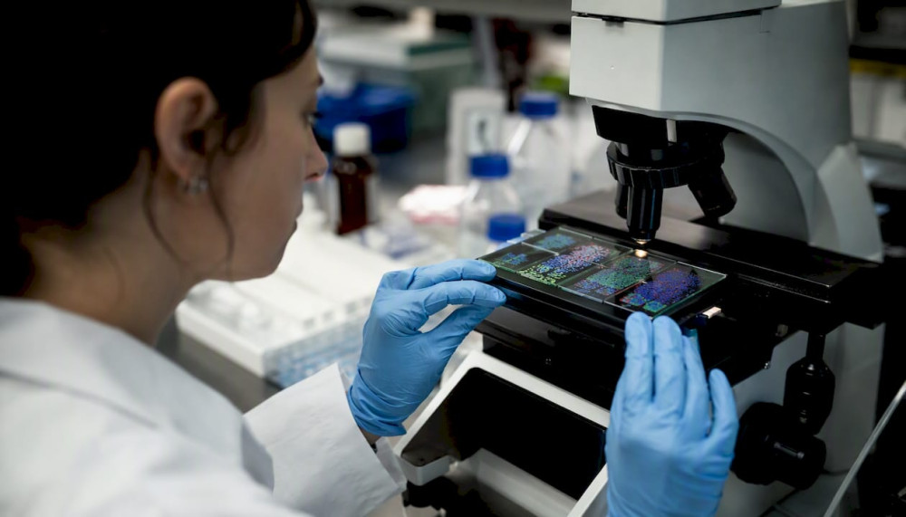 The Tumor Microenvironment: What Researchers and Clinicians Need to Know
